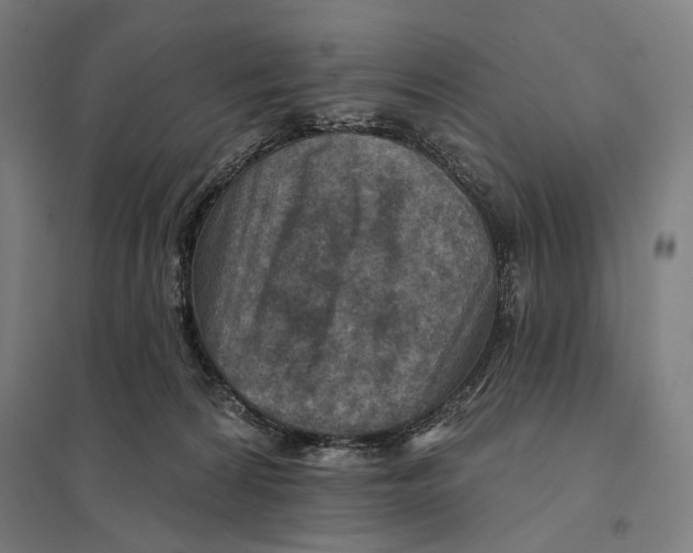 X0000097750224200803281617