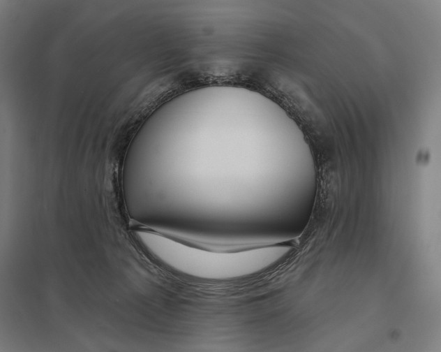 X0000097750225200803281617