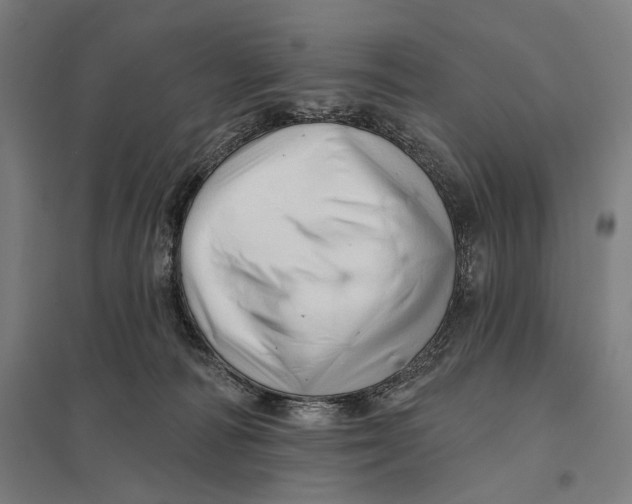 X0000097750226200803281617