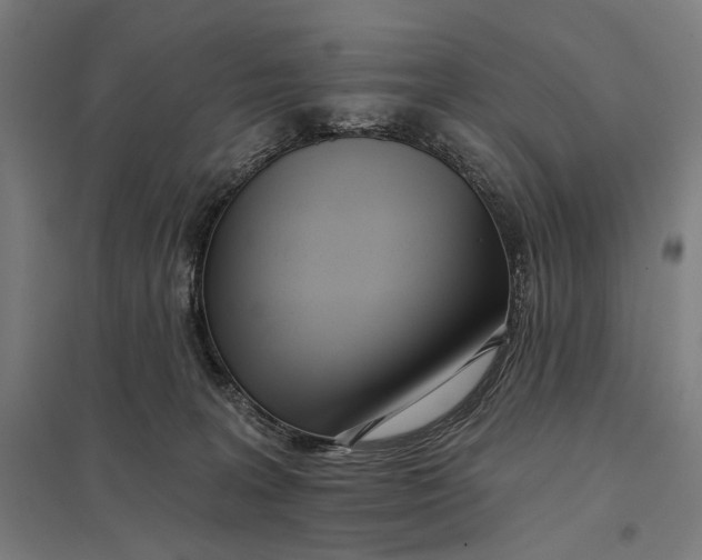 X0000097750227200803281617