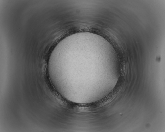 X0000097750228200803281617