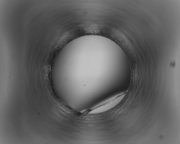 X0000097750229200803281617