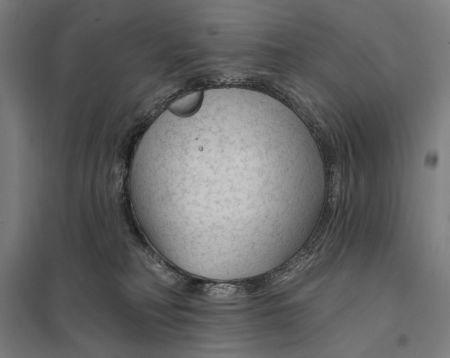 X0000097750230200803281617