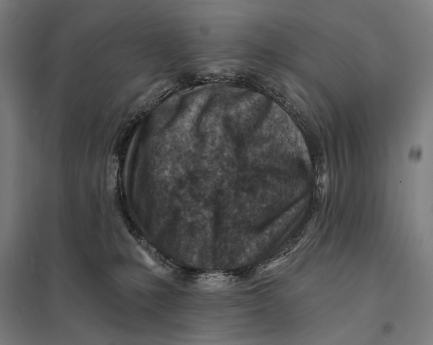 X0000097750231200803281617