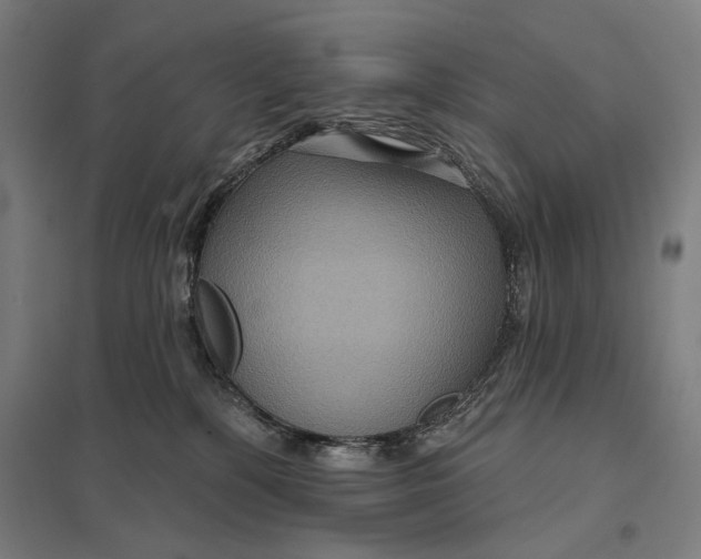 X0000097750232200803281617