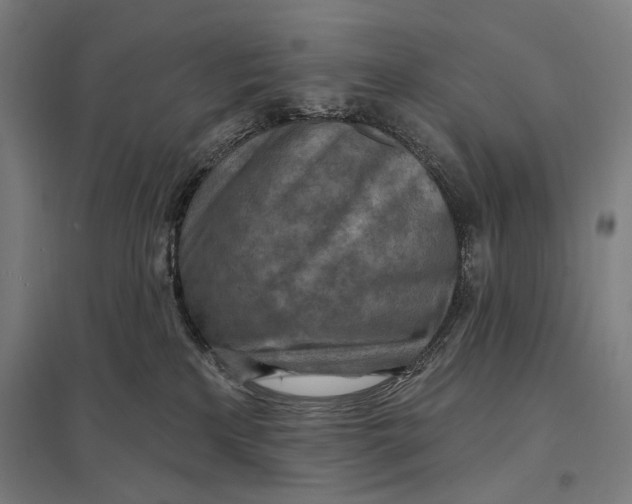 X0000097750233200803281617