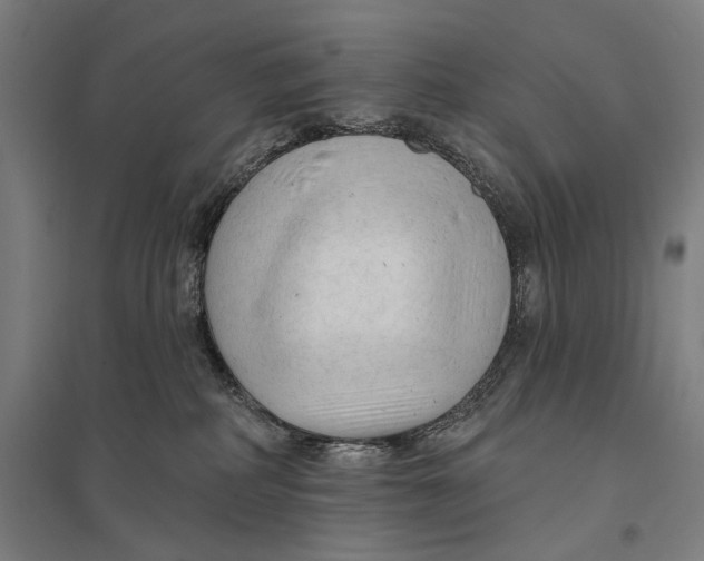 X0000097750234200803281617