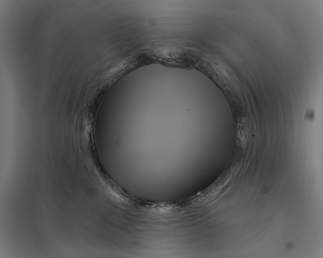 X0000097750235200803281617