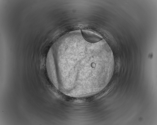 X0000097750236200803281617