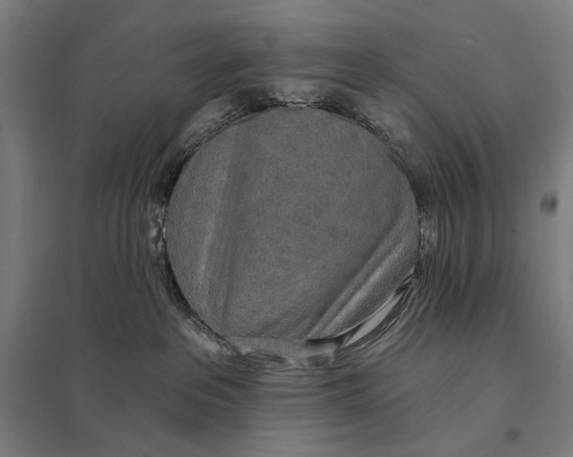 X0000097750237200803281617