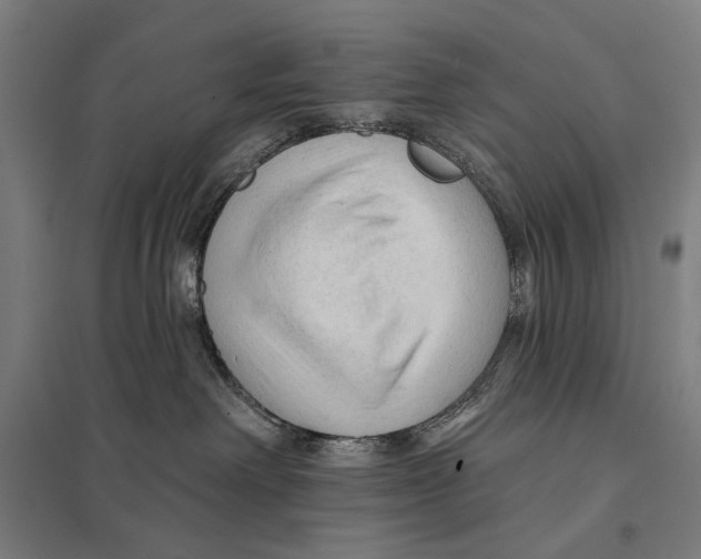 X0000097750238200803281617