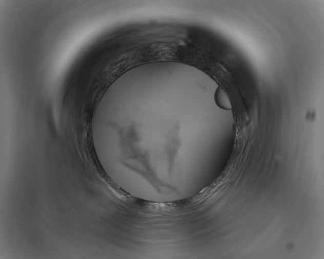 X0000097750239200803281617