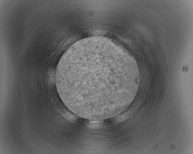 X0000097750240200803281617