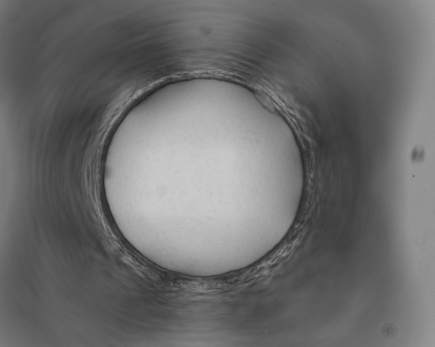 X0000097750241200803281616