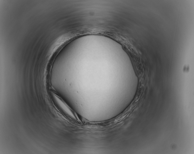 X0000097750242200803281616