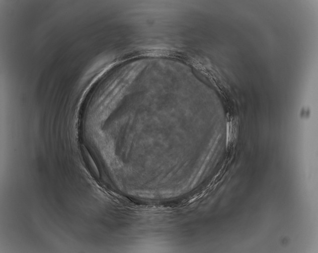 X0000097750243200803281617