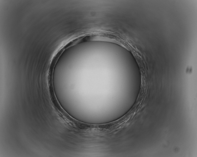 X0000097750244200803281617