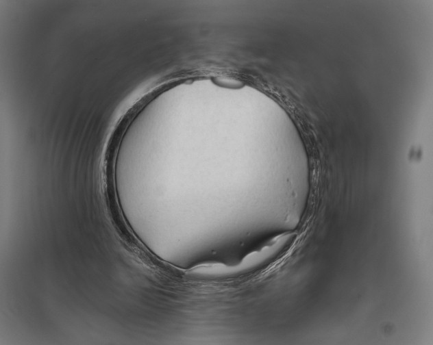 X0000097750246200803281617