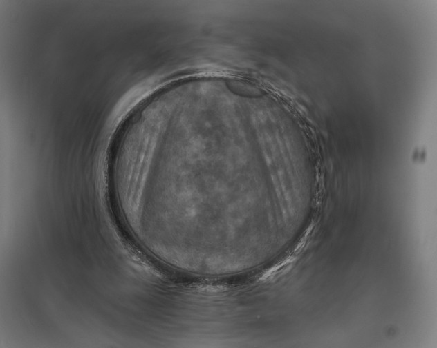 X0000097750247200803281617