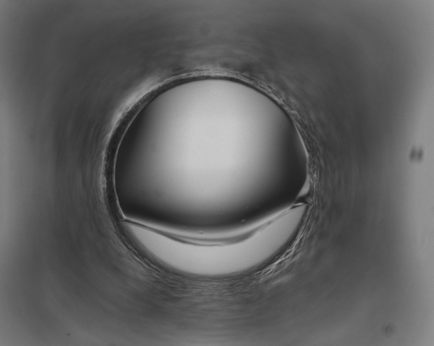 X0000097750248200803281617