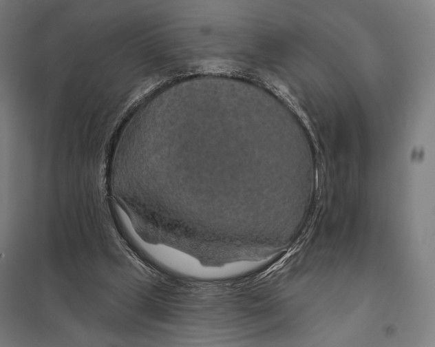 X0000097750249200803281617