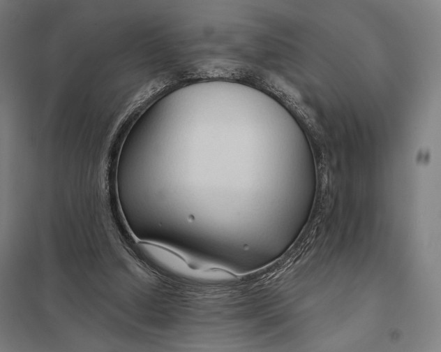 X0000097750250200803281617