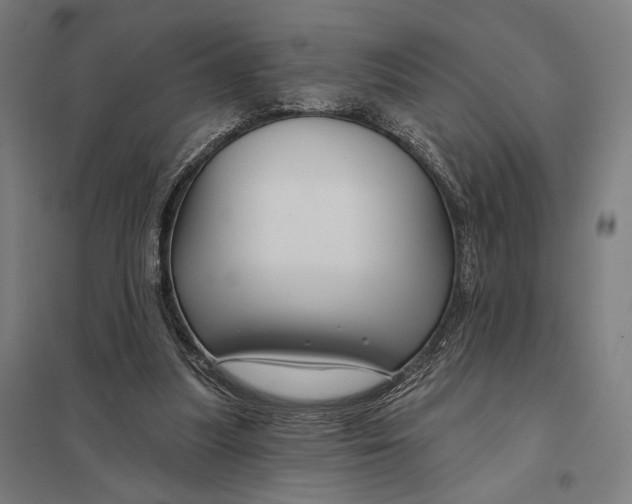 X0000097750251200803281617