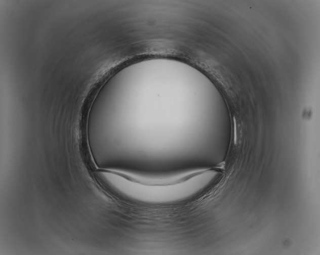 X0000097750252200803281617