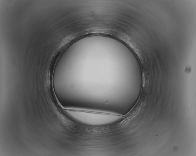 X0000097750253200803281617