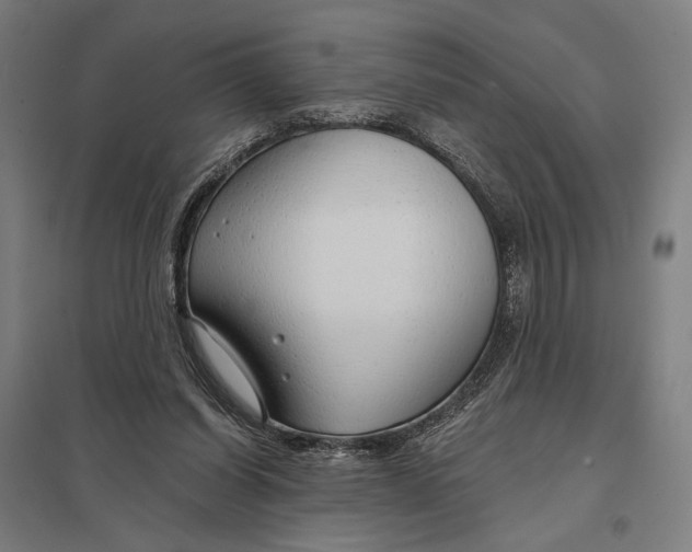 X0000097750254200803281617