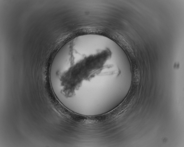 X0000097750255200803281617