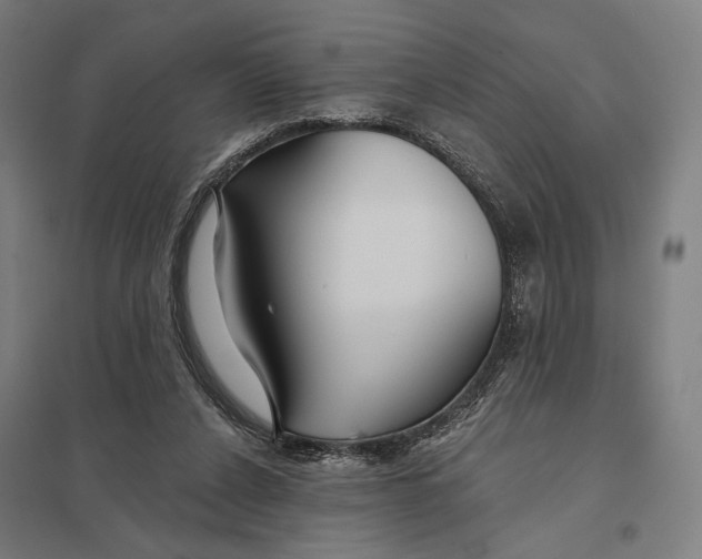 X0000097750256200803281617