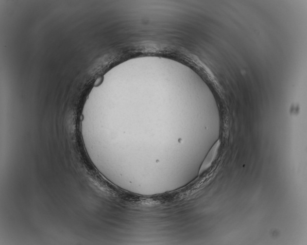 X0000097750257200803281617