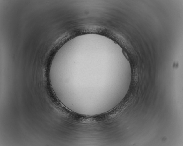 X0000097750258200803281617