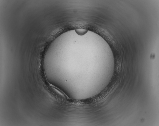 X0000097750259200803281617