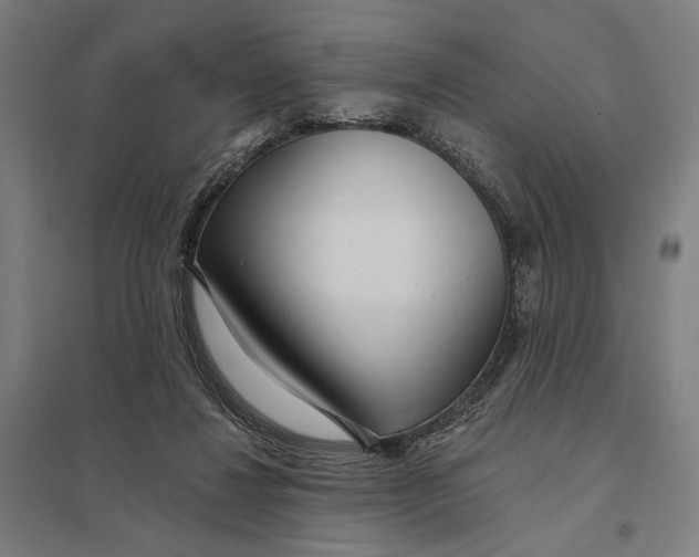 X0000097750260200803281617