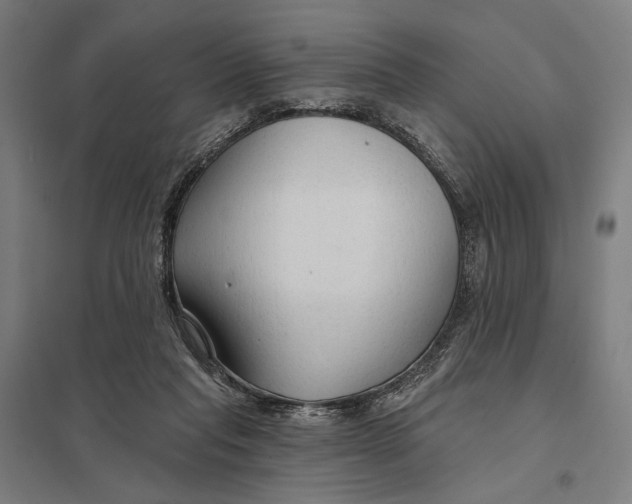 X0000097750261200803281617