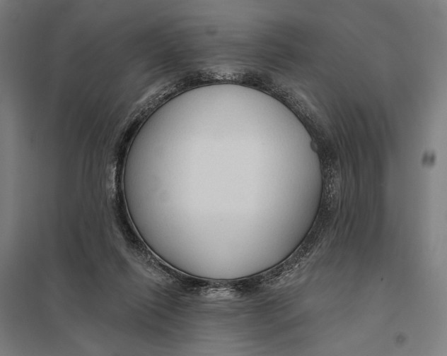 X0000097750262200803281617