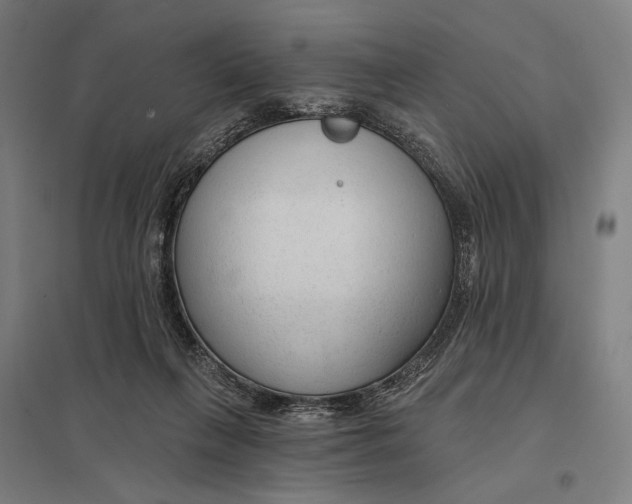 X0000097750263200803281617