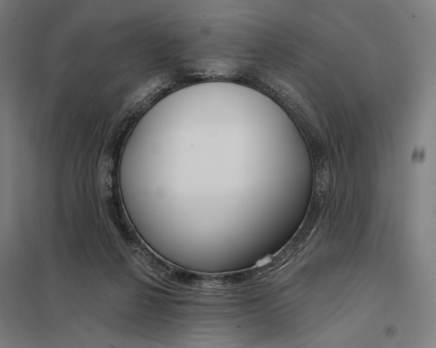 X0000097750264200803281617