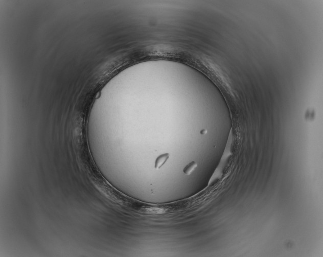 X0000097750265200803281617