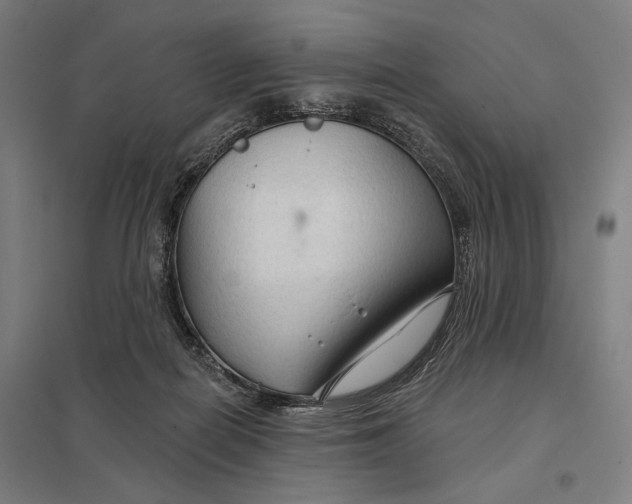 X0000097750266200803281617