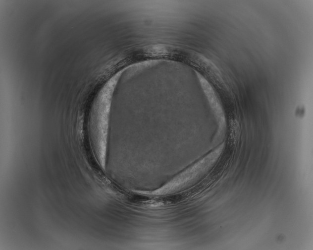 X0000097750267200803281617