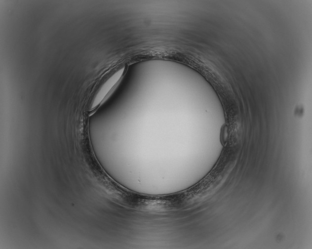 X0000097750268200803281617