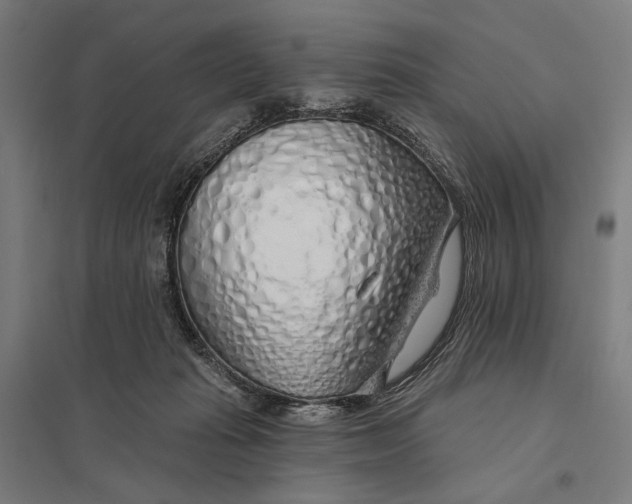 X0000097750269200803281617