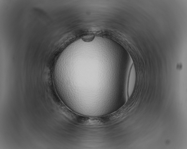 X0000097750270200803281617