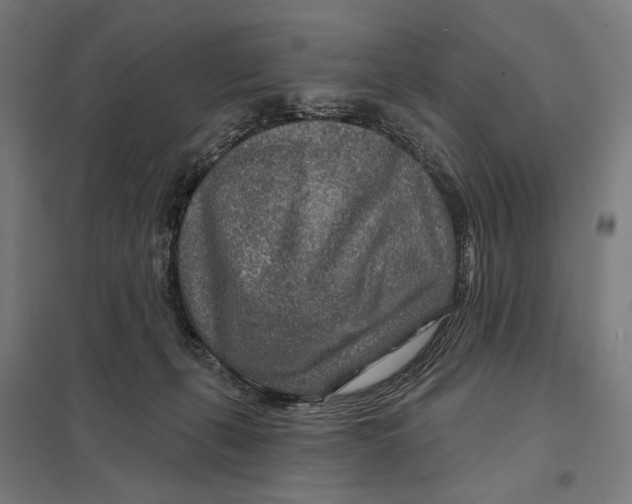 X0000097750271200803281617