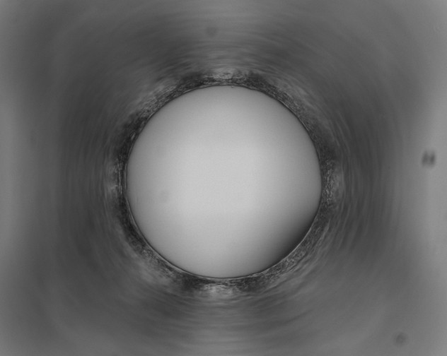 X0000097750272200803281617