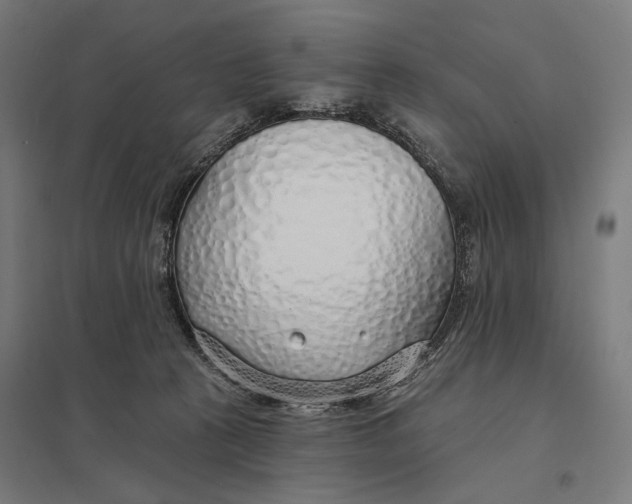 X0000097750273200803281617