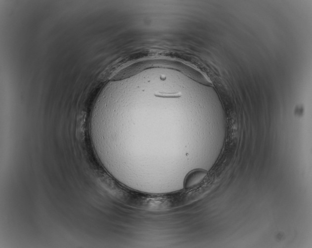 X0000097750275200803281617